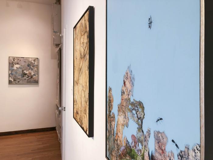 Installation View of Liane Ricci &amp; Barbara Strasen