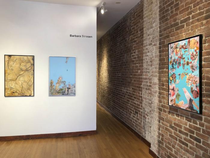 Installation View of Liane Ricci &amp; Barbara Strasen