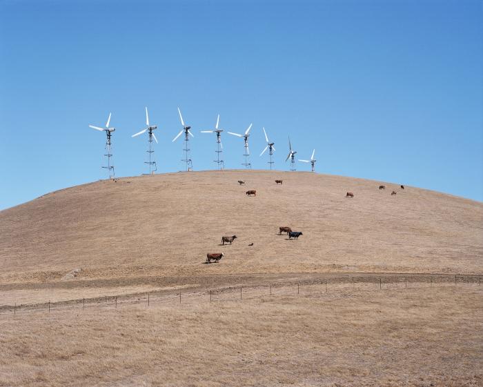 Installation View of AMERICANA Part I