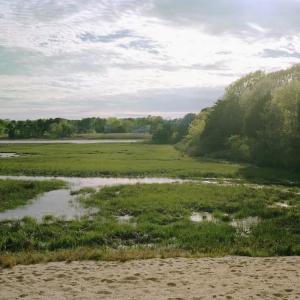 Cape Cod, MA by Fernando Zelaya