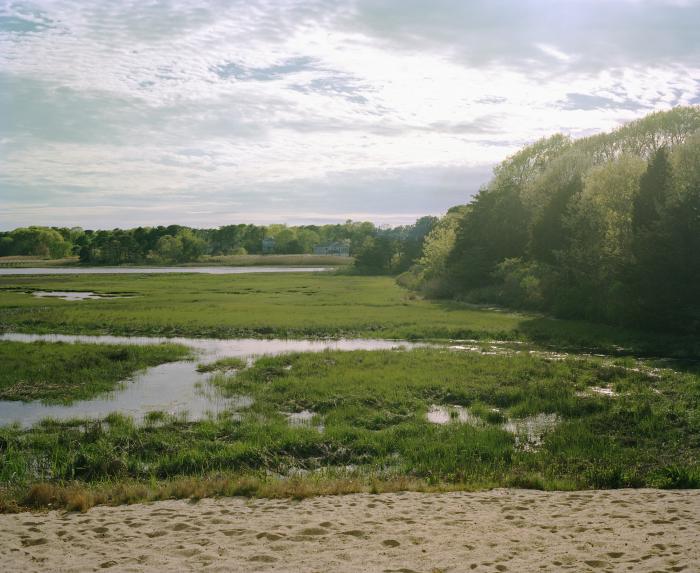 Cape Cod, MA by Fernando Zelaya