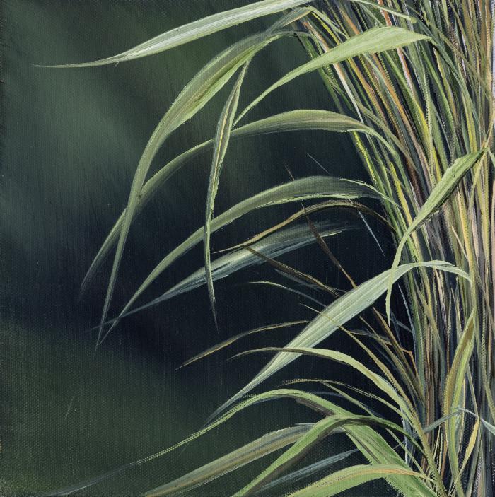 Sea Grass Study by Allison Green