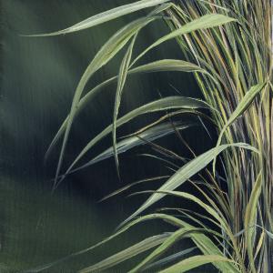 Sea Grass Study by Allison Green