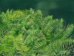 Fern Study by Allison Green