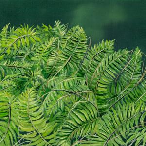 Fern Study by Allison Green