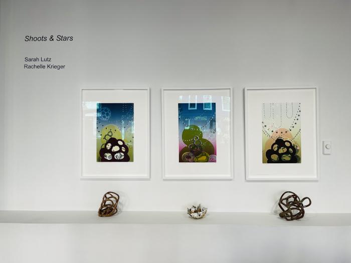 Installation View of Shoots & Stars