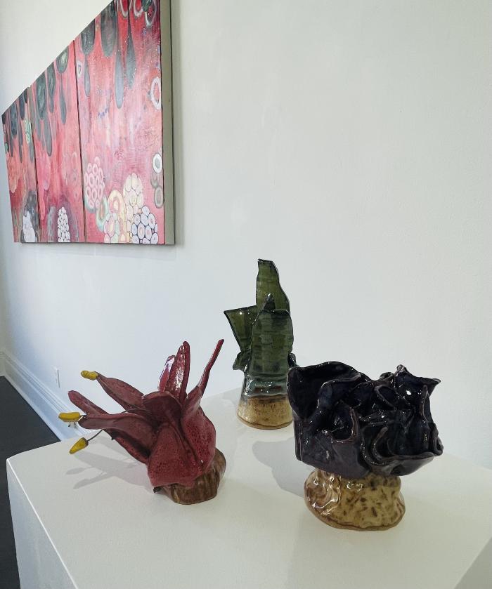 Installation View of Shoots & Stars