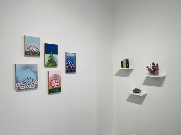 Installation View of Shoots & Stars