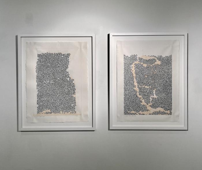 Installation View of No Straight Lines