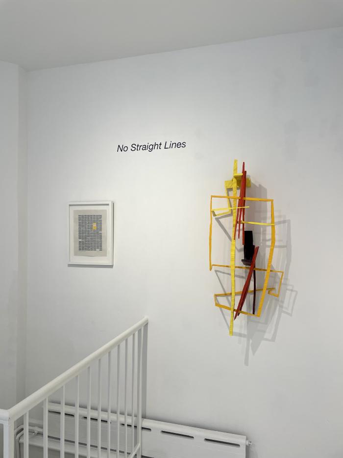 Installation View of No Straight Lines