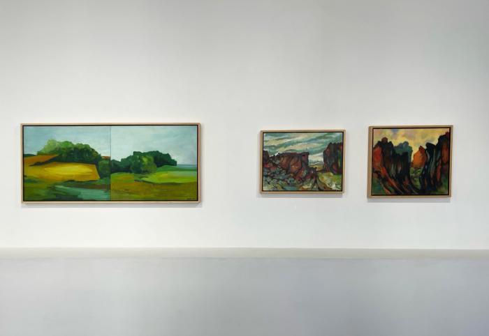 Installation View of Refracted Wilderness