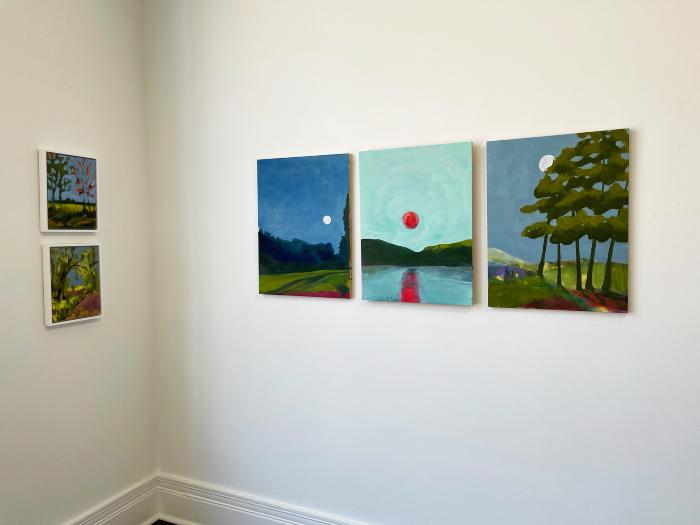 Installation View of Refracted Wilderness