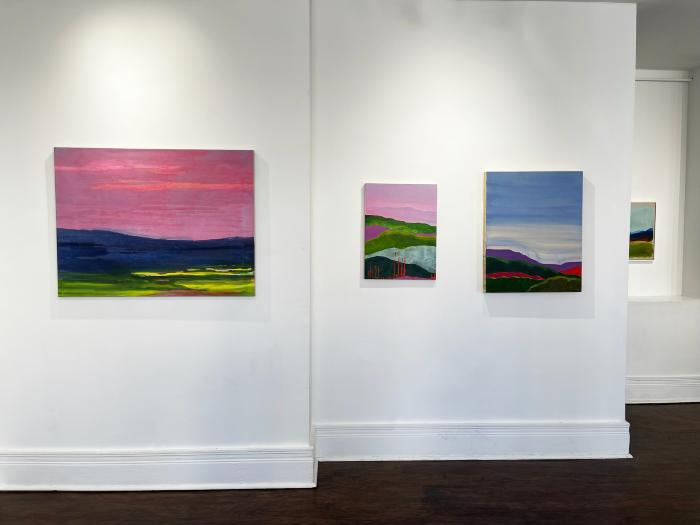 Installation View of Refracted Wilderness