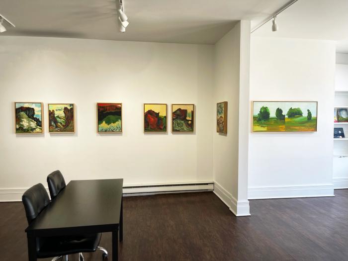 Installation View of Refracted Wilderness