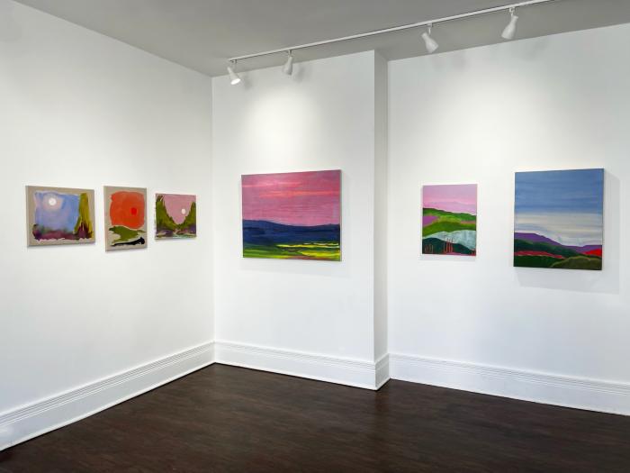 Installation View of Refracted Wilderness