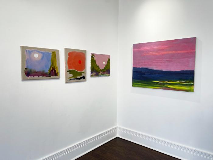 Installation View of Refracted Wilderness