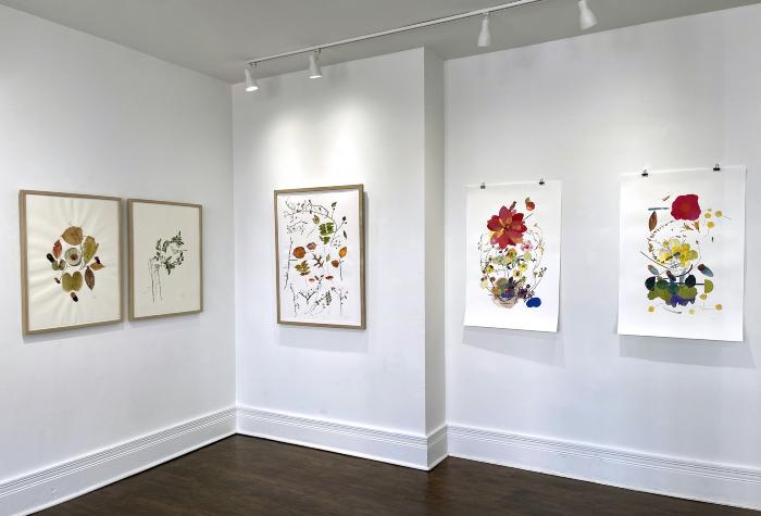 Installation View of Bountiful