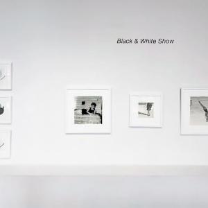 Black & White Show