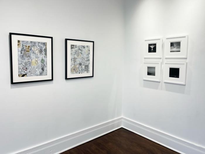 Installation View of Black & White Show