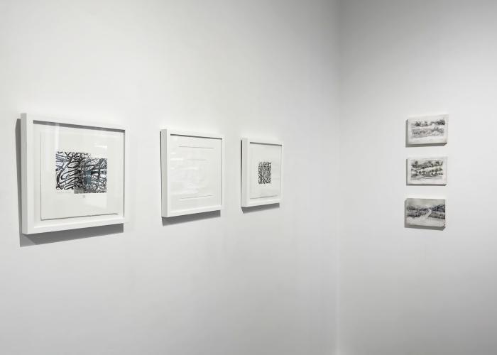 Installation View of Black & White Show