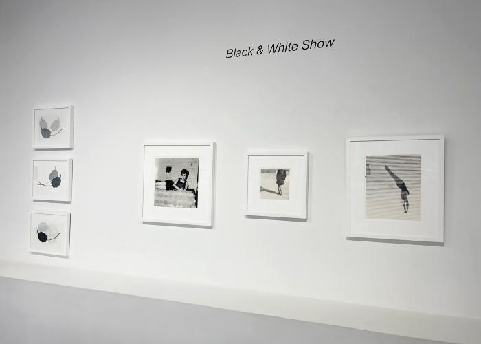 Installation View of Black & White Show