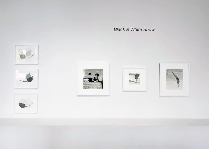 Installation View of Black & White Show