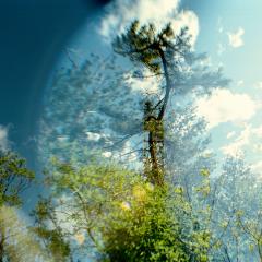 Transitory Space, Jamaica Bay, Queens, NYC, Cloud Tree # 2 by Leah Oates