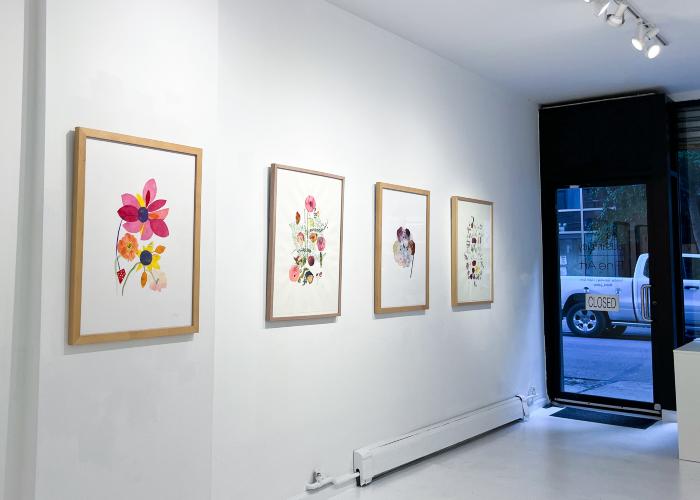 Installation View of Curio