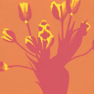 Tulips IV by Rachel Burgess