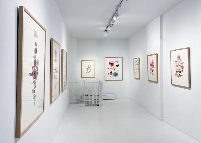 Installation View of Curio