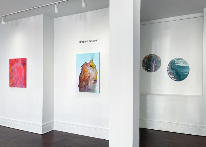 Installation View of Liz Rundorff Smith & Barbara Strasen