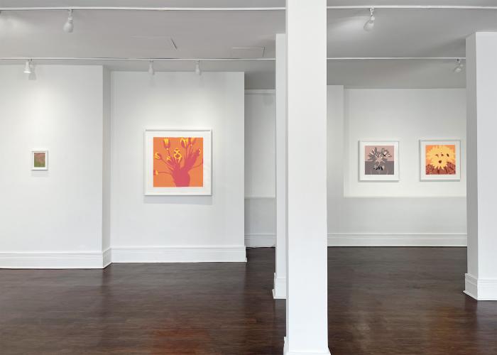 Installation View of Simple Gifts