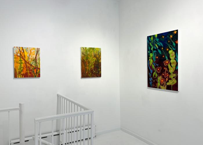 Installation View of Fireflies & Jewelweed